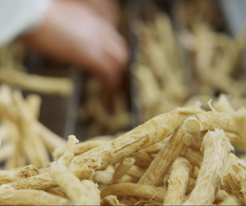 圍繞甘肅十大道地藥材做大做強中藥飲片，積極推進中藥材產地加工和飲片炮制一體化